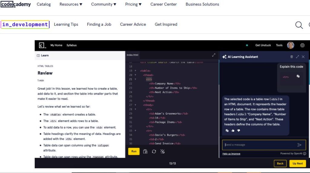 Codecademy AI instant feedback